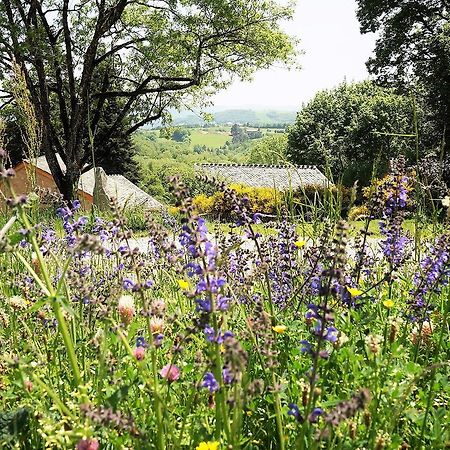 Domaine Des Marequiers Chambre Melilot Bed and Breakfast Saint-Germain-du-Teil Exteriör bild