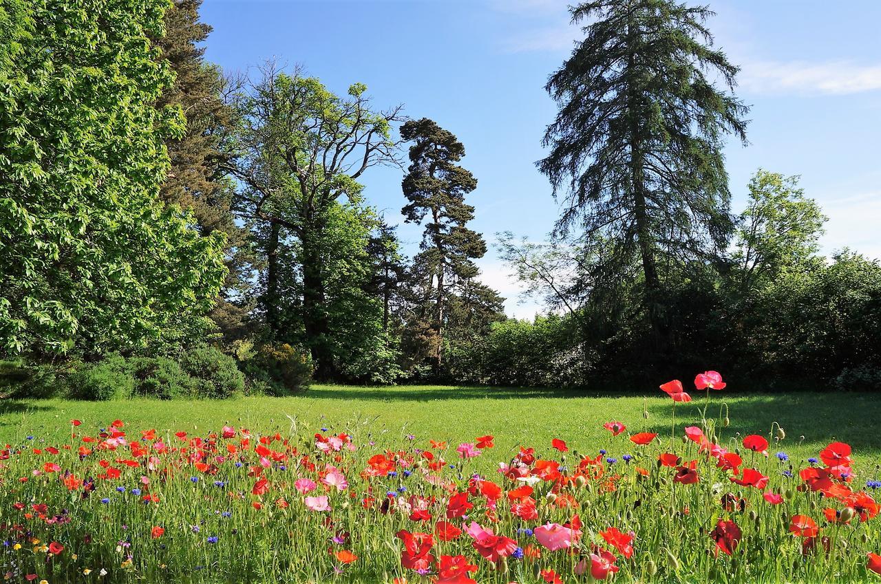 Domaine Des Marequiers Chambre Melilot Bed and Breakfast Saint-Germain-du-Teil Exteriör bild