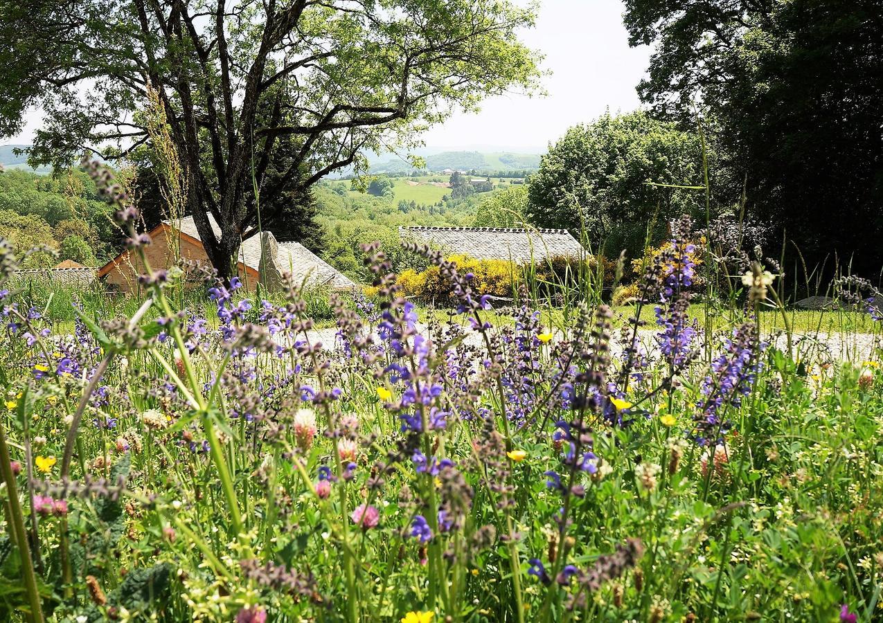 Domaine Des Marequiers Chambre Melilot Bed and Breakfast Saint-Germain-du-Teil Exteriör bild